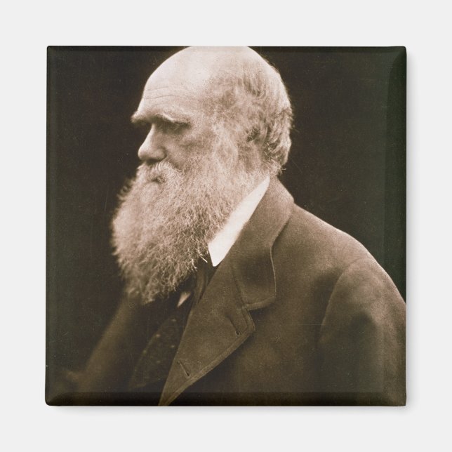 Charles Darwin (1809-82) (photo) Magnet (Front)