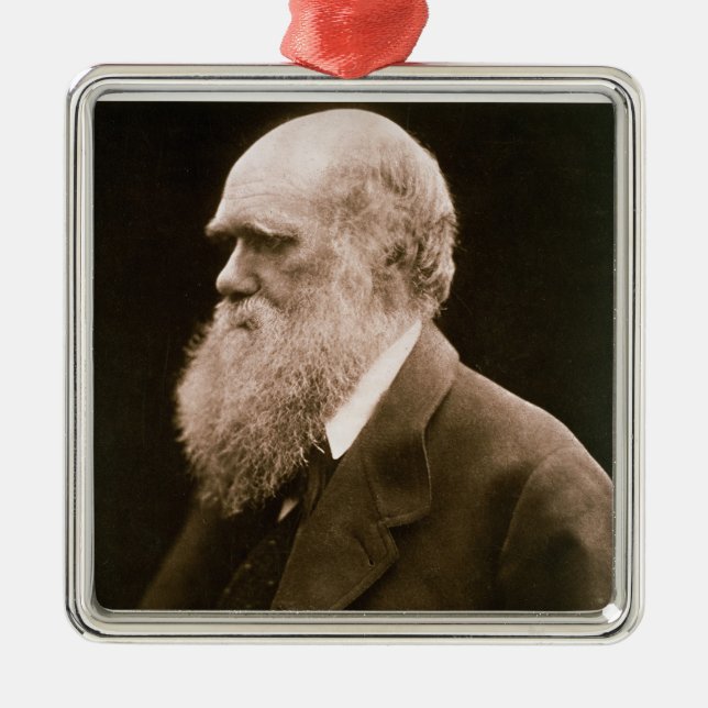 Charles Darwin (1809-82) (photo) Metal Tree Decoration (Front)
