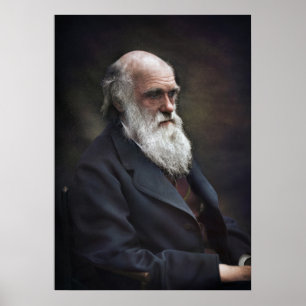 Charles Darwin 1878 Colourized  Poster