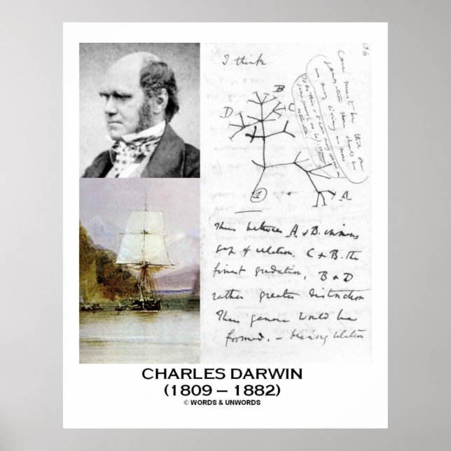 Charles Darwin Collage HMS Beagle Evolution Poster (Front)