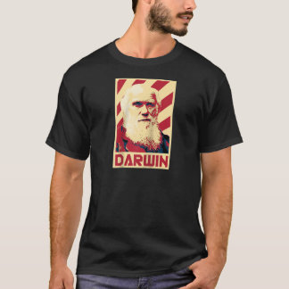 Charles Darwin Evolution Retro Propaganda Raglan B T-Shirt