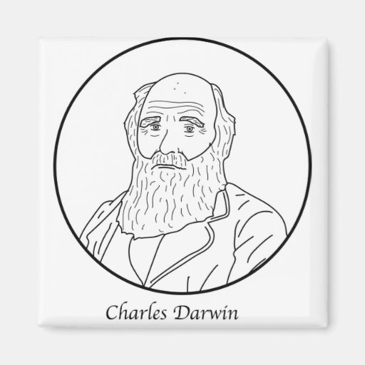 Image of Charles Darwin Line Portrait Magnet