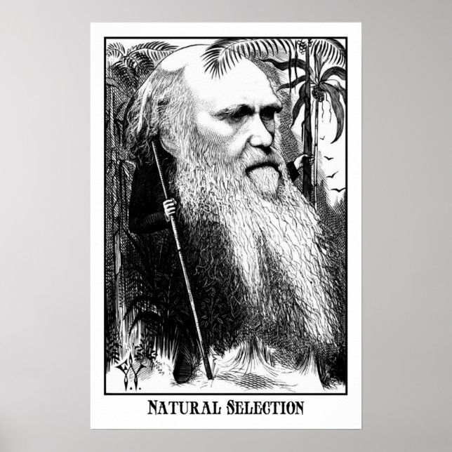 Charles Darwin- Natural Selection Poster (Front)