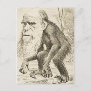 Charles Darwin Original Illustration Postcard