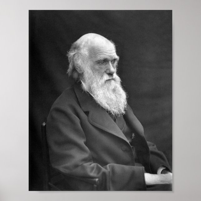 Charles Darwin Portrait - 1874 Poster (Front)