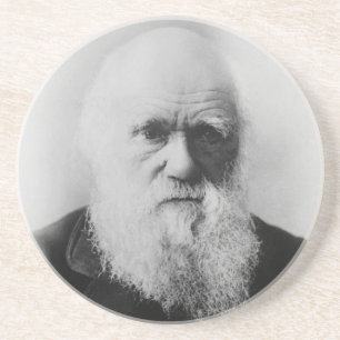Charles Darwin Portrait by Elliott and Fry Coaster
