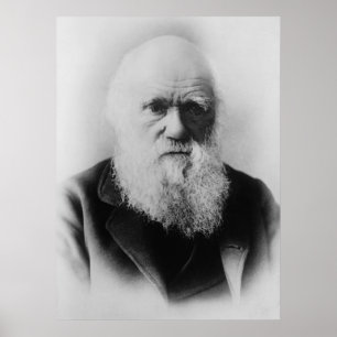Charles Darwin Portrait by Elliott and Fry Poster