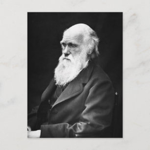 Charles Darwin Portrait Postcard