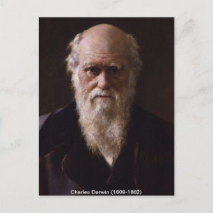 Charles Darwin Postcard