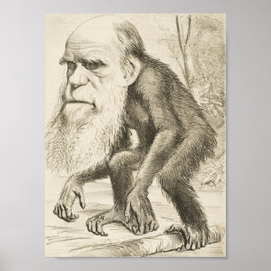 Charles Darwin Poster