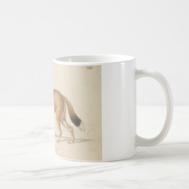 Charles Hamilton Smith - Falkland Islands Wolf Coffee Mug (Right)