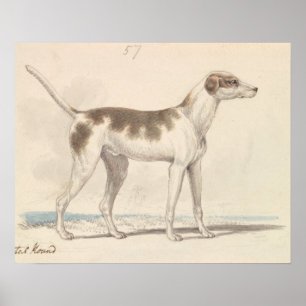 Charles Hamilton Smith - Oriental Hound Poster