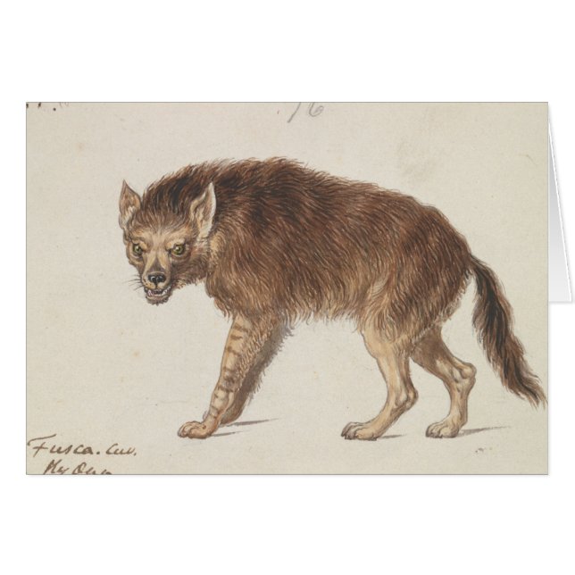 Charles Hamilton Smith - The Brown Hyena (Front Horizontal)