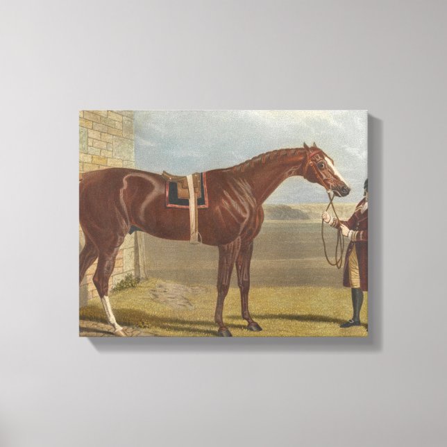 Charles Hunt - Eclipse - He was bred in 1764 Canvas Print (Front)