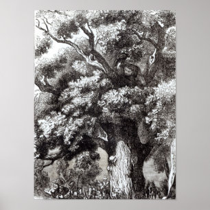 Charles II Hidden in the Oak Tree Poster