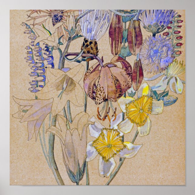 Charles Rennie Mackintosh - Mont Louis  -  Flower Poster (Front)