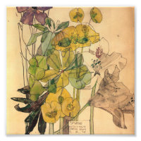 Charles Rennie Mackintosh - Spurge With Yham 1909