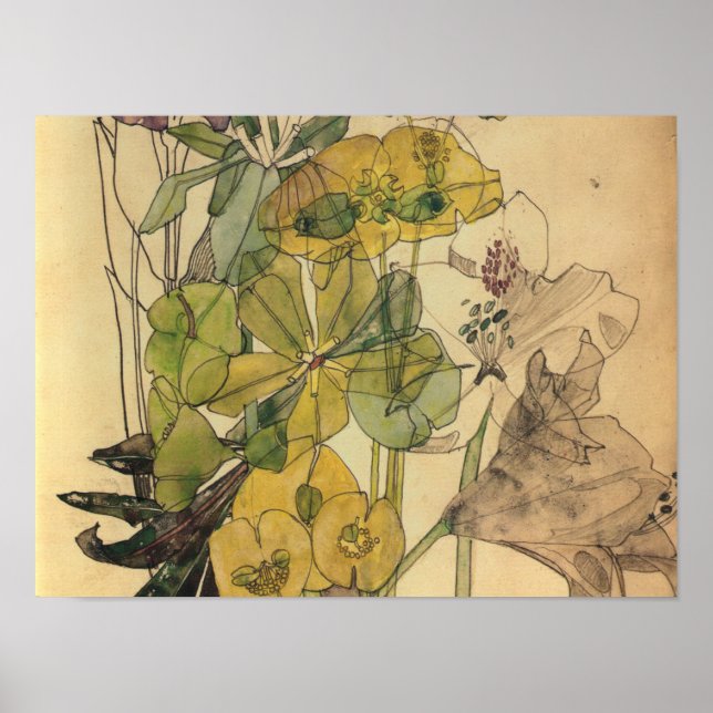 Charles Rennie Mackintosh - Spurge With Yham 1909 Poster (Front)