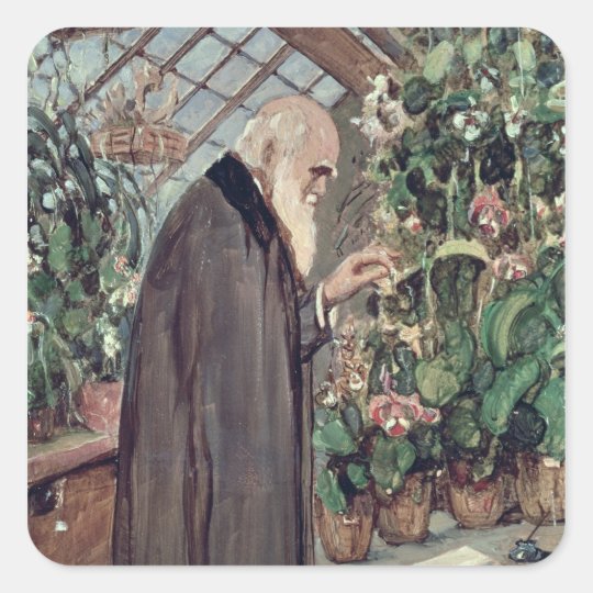 Charles Robert Darwin Square Sticker
