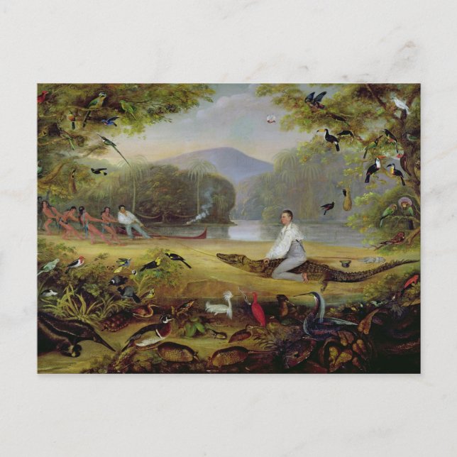 Charles Waterton capturing a cayman, 1825-26 Postcard (Front)