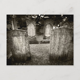 Charleston Cemetery Postcard
