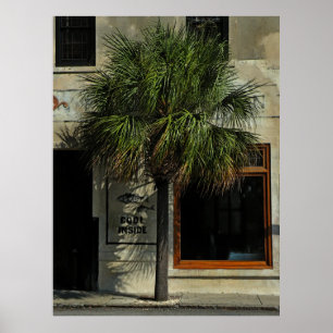 Charleston Palmetto Standard Poster