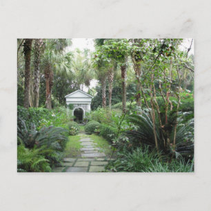 Charleston SC Palmettos Garden & Gazebo Postcard