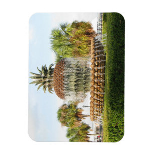 Charleston SC Pineapple Fountain, Waterfront Park Magnet