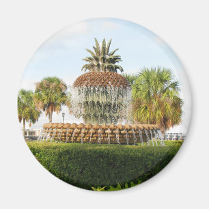 Charleston SC Pineapple Fountain, Waterfront Park Magnet