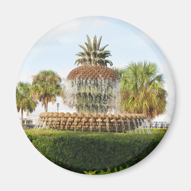 Charleston SC Pineapple Fountain, Waterfront Park Magnet (Front)