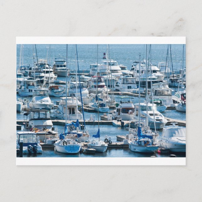 Charleston SC Postcard (Front)