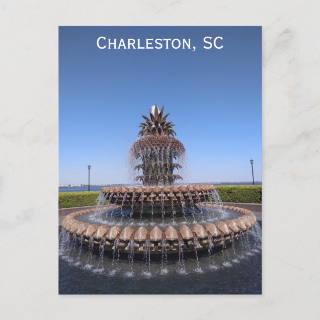 Charleston South Carolina Pineapple Fountain Postcard (Front)