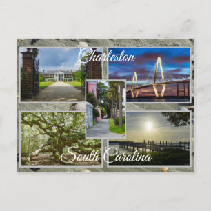 Charleston South Carolina Postcard