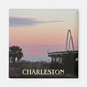 Charleston Souvenir Photo Magnet