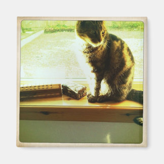 Charlie At The Window Magnet