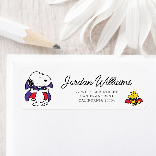 Charlie Brown and Gang Halloween (Insitu)