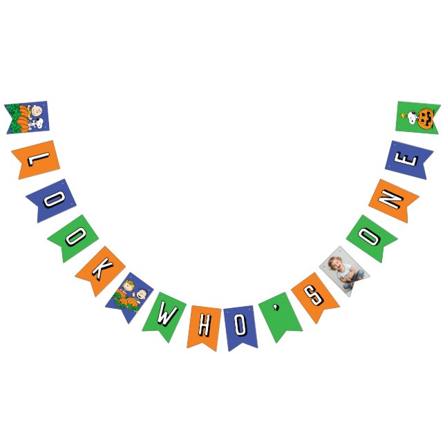 Charlie Brown and Gang Pumpkin First Birthday Bunting (All)