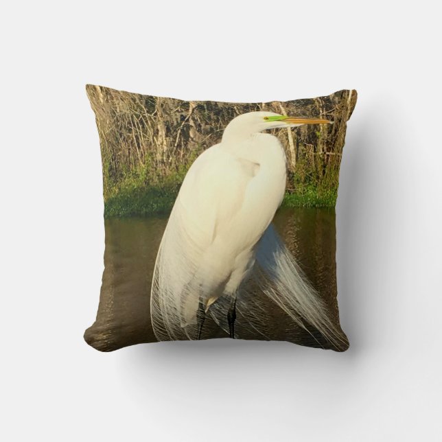 Charlie Cushion (Front)
