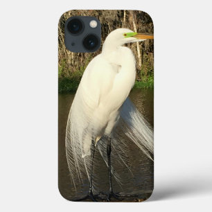 Charlie iPhone Cases