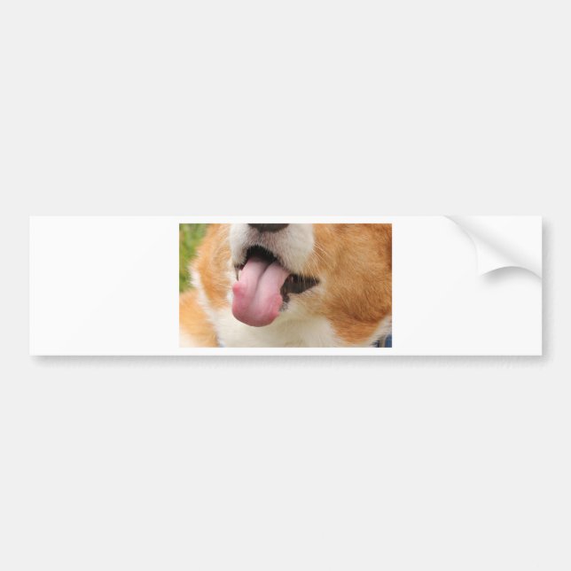 Charlie Kisses Bumper Sticker (Front)