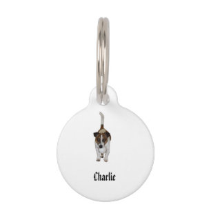 Charlie The Fox Terrier, Pet Tag
