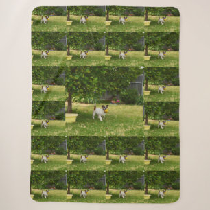 Charlie The Fox Terrier Play Time, Sherpa Blanket
