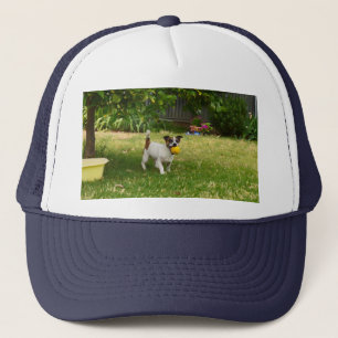 Charlie The Fox Terrier Play Time, Truckers Hat