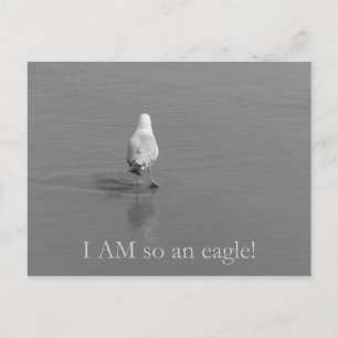 Charlie the lonely seagull - I am so an eagle! Postcard