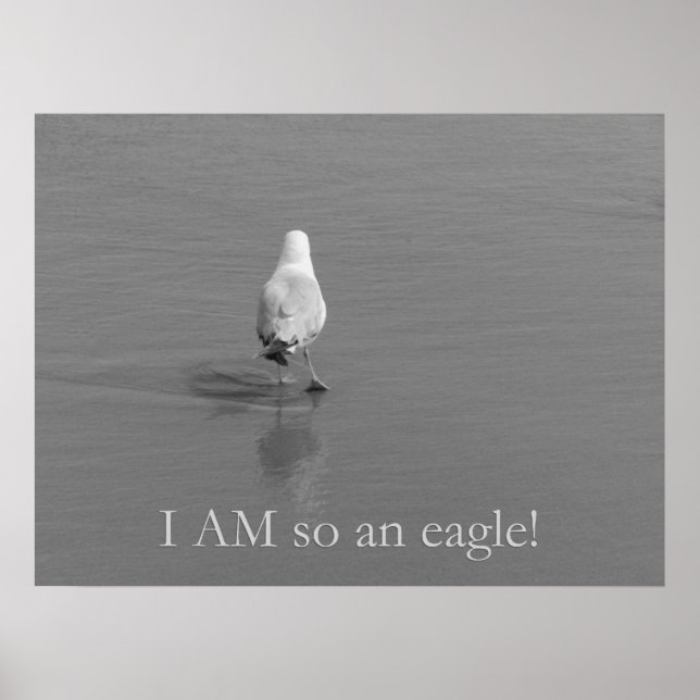 Charlie the lonely seagull - I am so an eagle! Poster (Front)