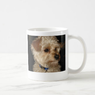 Charlie's Mug