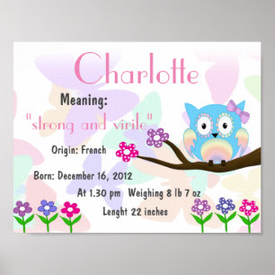 Charlotte Name meaning keepsake nursery Poster