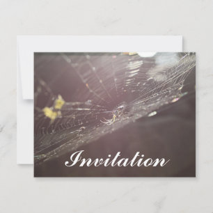 charlotte's web invitation