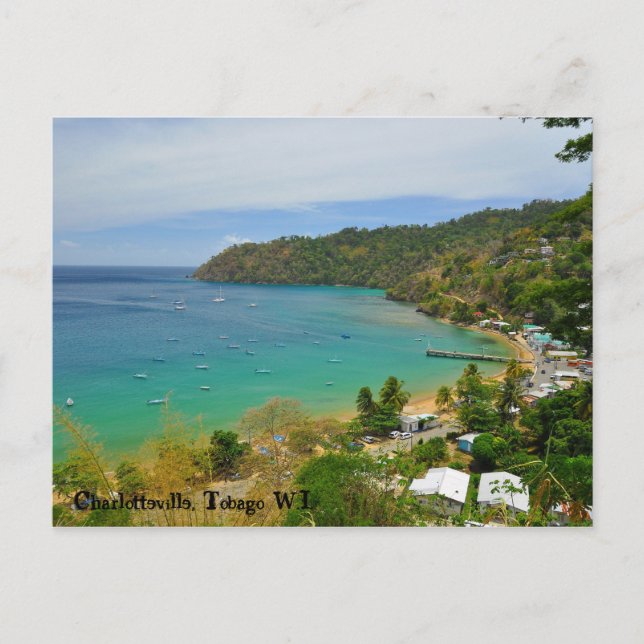 Charlotteville, Tobago W.I. Postcard (Front)