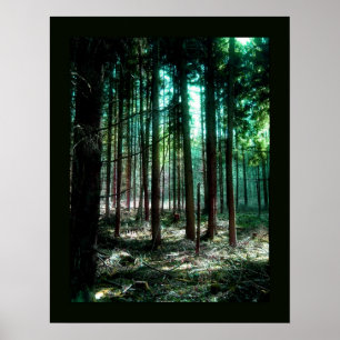 Charm forest poster